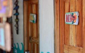 Tiki Dorm