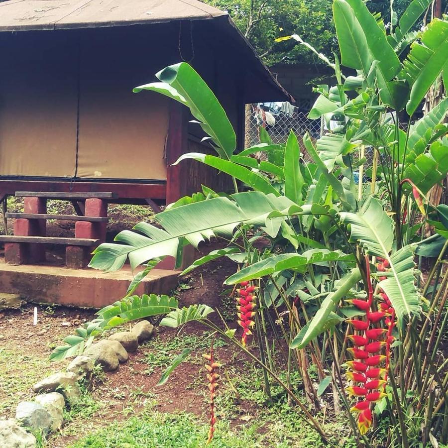Villa Tiki Dorm Santa Catalina Exterior foto